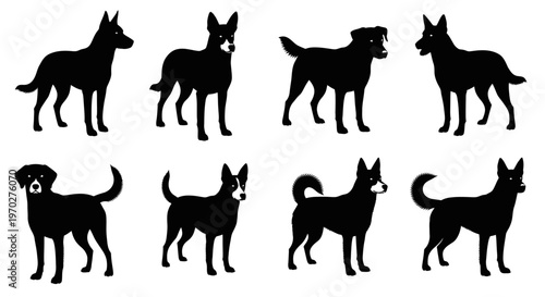 Collection of various dog breeds in silhouette form standing on a white background.