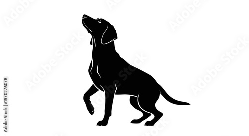 Black dog silhouette looking up with paw raised.