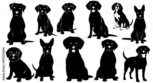 Collection of various dog breeds in silhouette, showcasing different poses and sizes.