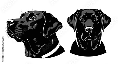 Black Labrador Retriever dog head vector illustration set.