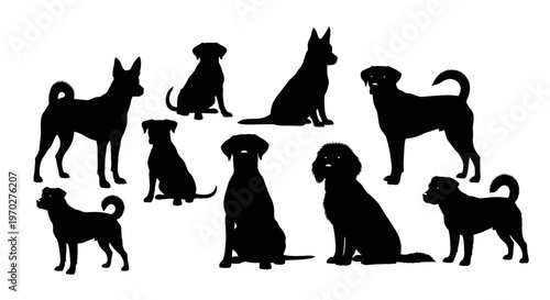 Collection of various dog breeds silhouettes in different poses, showcasing the diversity of canine shapes and sizes.