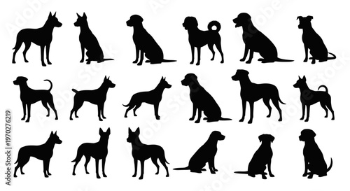Dog Silhouettes Collection Various Breeds Poses.