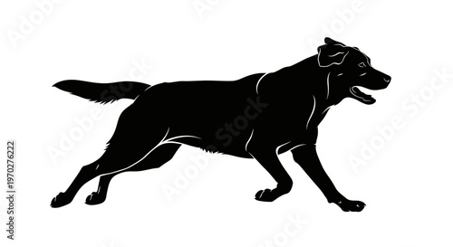 Black Silhouette of a Running Dog on a White Background.