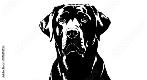 Black Labrador Retriever dog portrait in a minimalist high-contrast style.