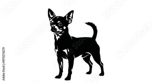 Chihuahua dog standing, black and white illustration.