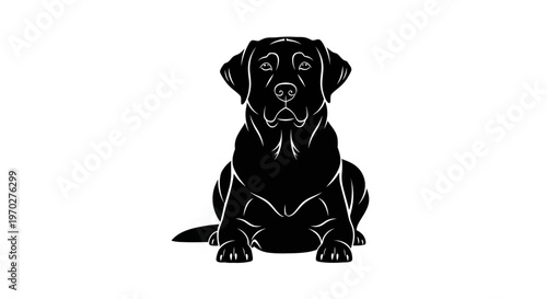 Black Labrador Retriever dog sitting, front view, isolated on white background, vector illustration.