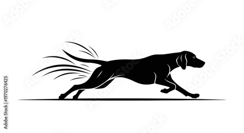 Dynamic Silhouette of a Running Dog with Motion Trails.
