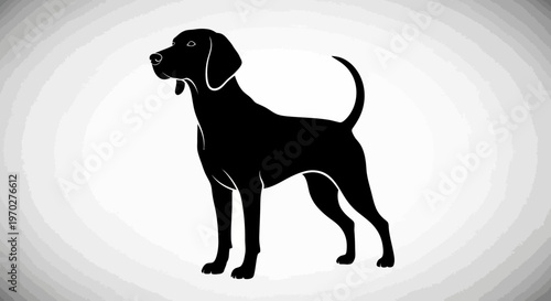 Elegant Black Dog Silhouette Standing Gracefully.