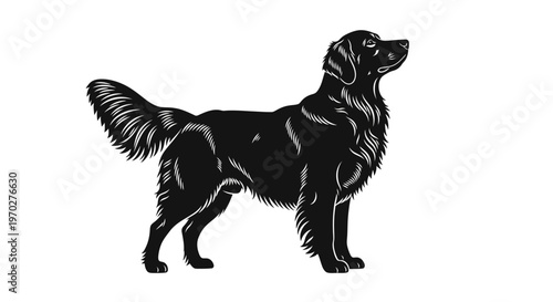 Elegant Black Dog Silhouette Standing Proudly.