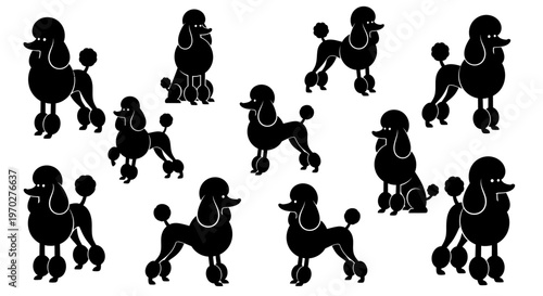 Collection of Poodle Silhouettes in Various Poses.