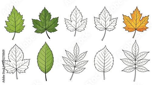 simple abstract image with minimal visual elements