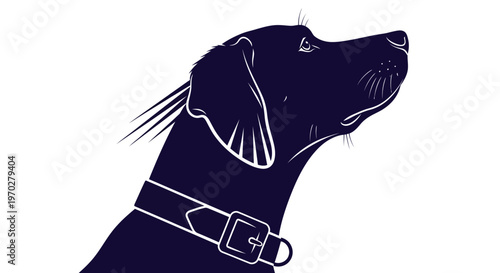 Elegant Silhouette of a Dog Looking Upward with a Collar.
