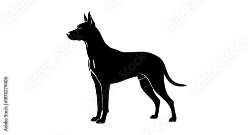 Elegant Black Silhouette of a Standing Dog with Pointed Ears.