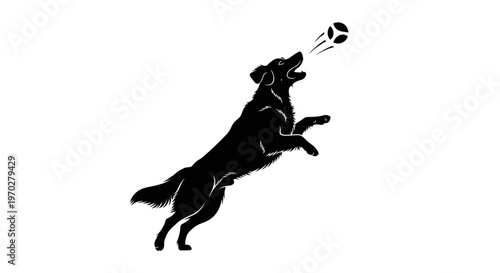 Energetic black dog jumping to catch a ball in a playful moment.