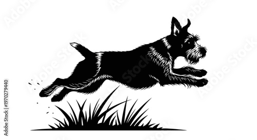 Energetic Terrier Dog Leaping Over Grass in Black and White.