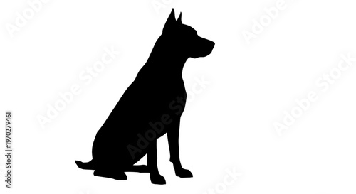 Silhouette of a dog sitting, looking to the right, isolated on a white background.