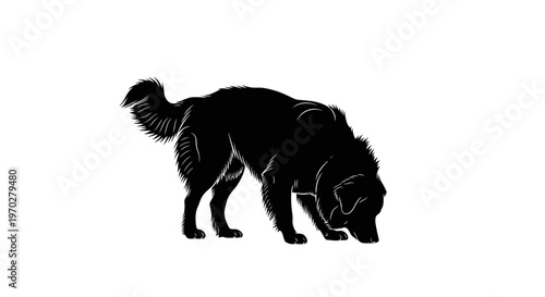 Silhouette of a dog sniffing the ground, isolated on a white background.