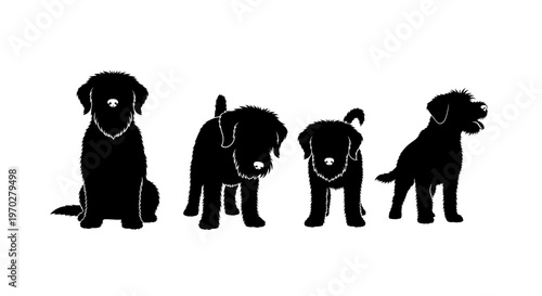 Four black dog silhouettes standing and sitting on a white background.
