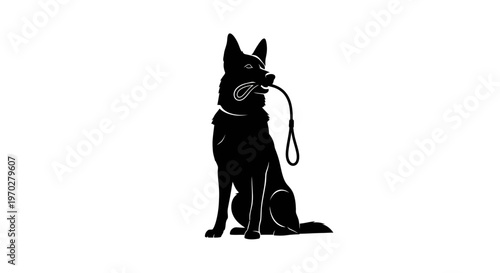 German Shepherd dog holding leash in mouth.