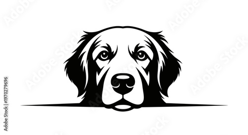 Golden Retriever Dog Head Vector Illustration.