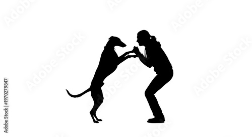 Silhouette of a woman and a dog playing together, showing their strong bond and companionship.
