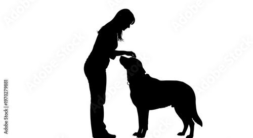 Silhouette of a woman petting her dog, showing a strong bond and companionship.