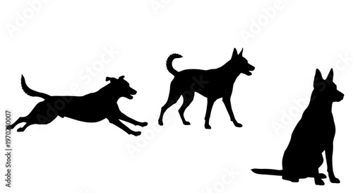 Silhouettes of dogs in various poses running walking and sitting against a clean white background.