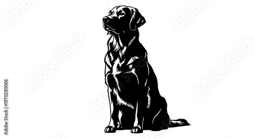 Majestic Black Labrador Retriever Sitting Gracefully on a White Background.