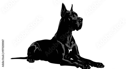 Majestic Black Great Dane Dog Silhouette Resting Gracefully.