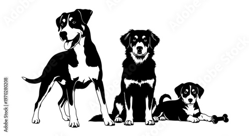 Three dogs of different sizes standing and sitting together.