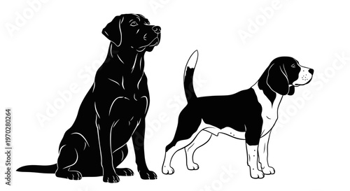 Two dogs, a black labrador and a beagle, sitting and standing in a black and white illustration.