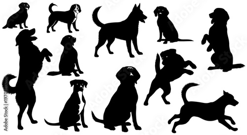Silhouettes of various dog breeds in different poses on a white background.