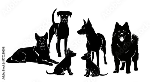 Silhouettes of various dog breeds in different poses on a white background.