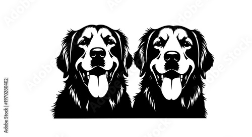 Two happy golden retriever dogs smiling with tongues out.