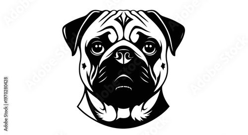 Pug dog head black and white illustration.