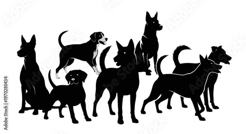 Silhouettes of various dog breeds standing together on a white background.