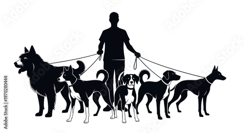 Professional dog walker silhouette managing multiple pets.