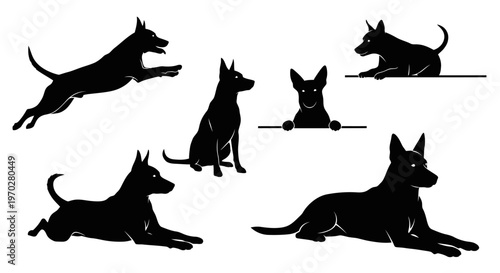 Silhouettes of various dog poses on a white background.