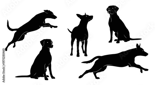 Silhouettes of various dogs in different poses, isolated on a white background.
