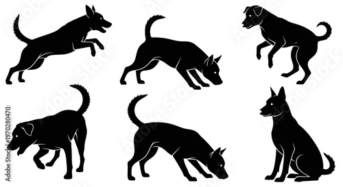 Silhouettes of various dogs in different poses on a white background.