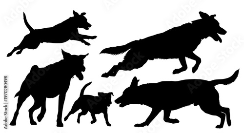 Silhouettes of various dogs in playful and active poses.