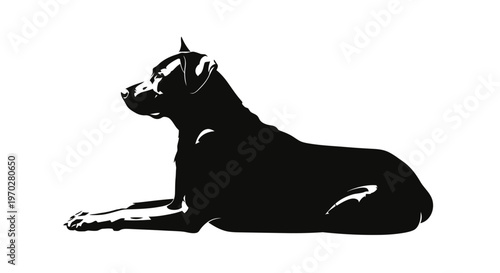 Silhouette of a Boxer dog lying down, showcasing its strong and muscular build.