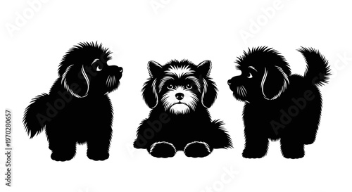 Three adorable fluffy puppies in various poses, black and white illustration.