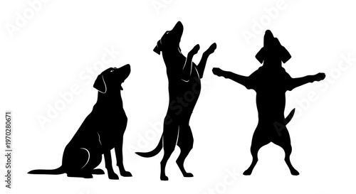 Three black dog silhouettes in various playful poses on a white background.