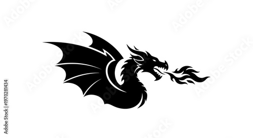 Majestic Black Dragon Breathing Fire Illustration.