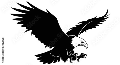 Fotografi Majestic bald eagle in flight with wings spread wide.