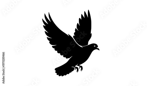 Silhouette of flying pigeon or dove vector illustration