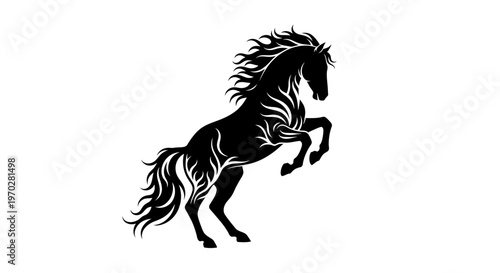 Majestic Black Horse Rearing Up on White Background.