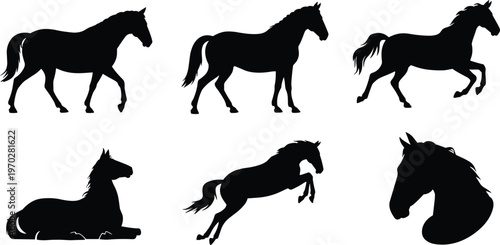Black silhouettes of horses in multiple poses including walking, standing, trotting, lying down, jumping, and head profile, symbolizing strength, grace, and animal movement