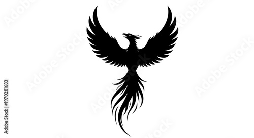 Majestic Phoenix Silhouette with Wings Spread.